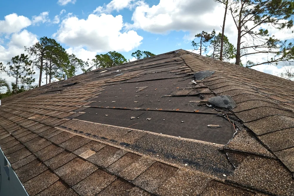 storm damage restoration​